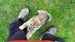 Shiba inu_Ina 11_2013_2.jpg