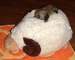 Shiba inu_Tajga_listopa_2011_151.jpg