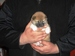 Shiba Sofie_list_2011_holky_43_podkol.jpg