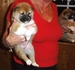 Shiba Sofie_list_2011_holky_51_podkol.jpg